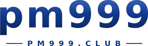 pm999 logo